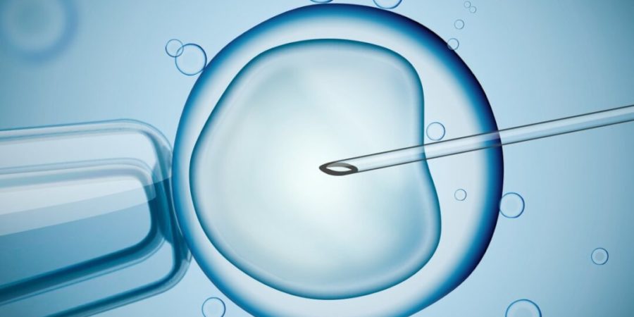 Las clínicas de reproducción asistida podrían ser más fecundas en Internet