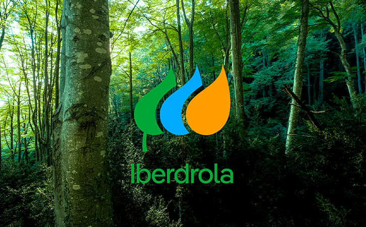 Iberdrola estrena el diseño de su nuevo logo para mejorar su visualización en medios digitales